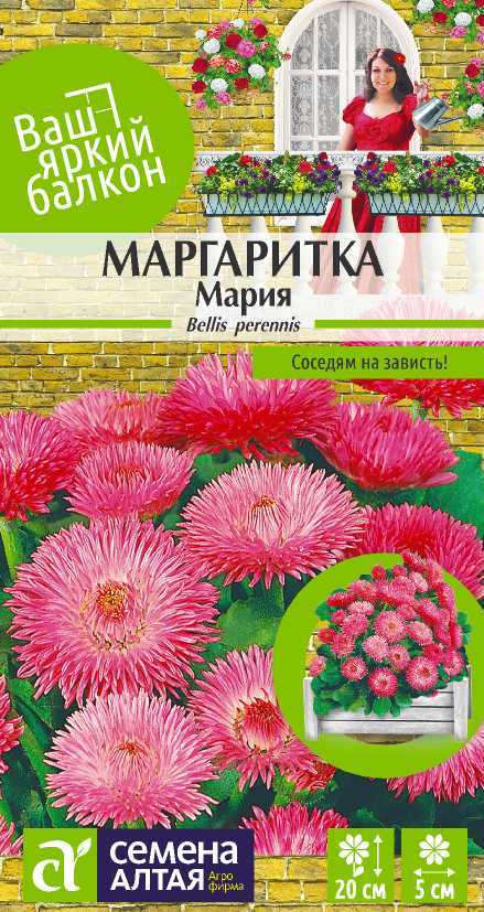 цопе маша  