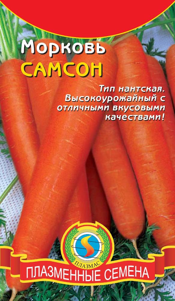 Морковь сорт самсон фото