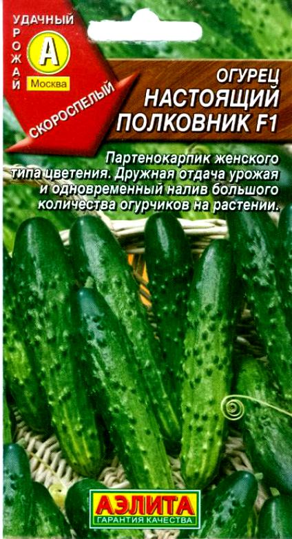 Огурец Настоящий Полковник F1 10шт #Манул
