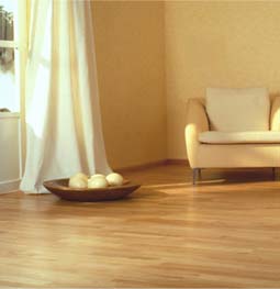Достоинства