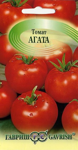 Томат Агата Характеристика И Фото