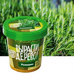 Набор д/выращивания растений "Вырасти, Дерево!", "Розмарин"