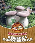 Вешенка королевская 12палочек Ц/П