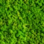 Фартук кухонный 3000х600, шаде 12710 №2